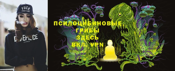 дмт Абинск