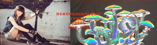 дмт Абинск
