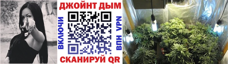 где купить наркоту  MEGA онион  Конопля марихуана  Саранск 